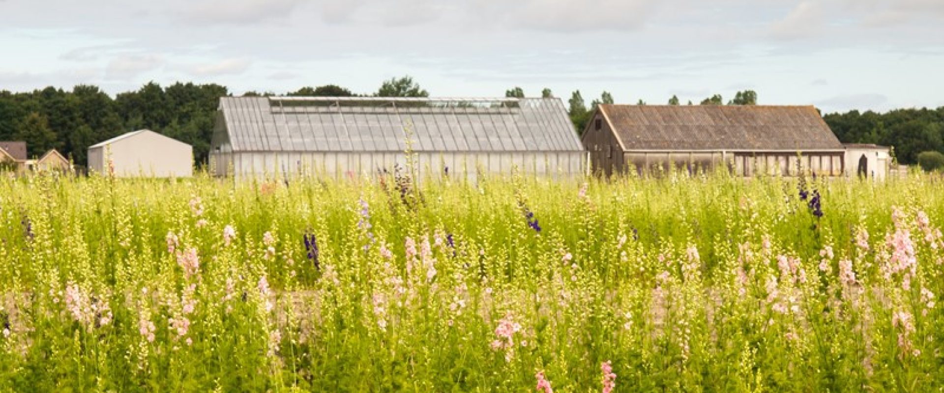 Bestemmingswijziging levert belastbare winst op
